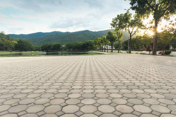 Best Driveway Paving Contractor  in Hazen, AR