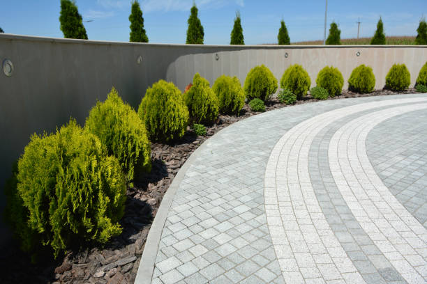 Best Driveway Pavers Near Me  in Hazen, AR